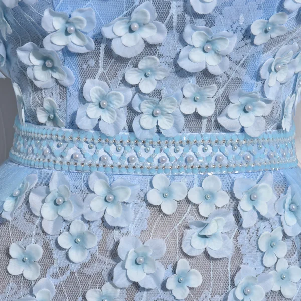 Stunning Sky Blue Evening Dresses 2017 A-Line / Princess Scoop Neck 1/2 Sleeves Appliques Flower Pearl Court Train Backless Formal Dresses