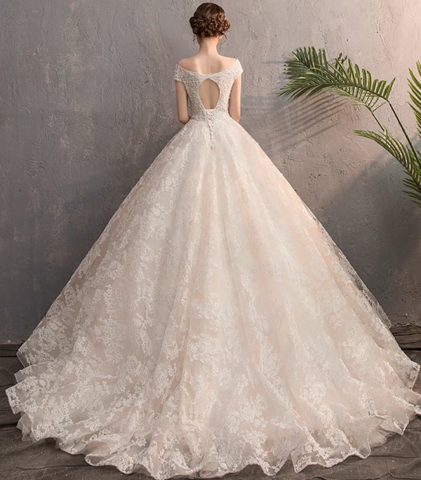 Best Champagne Wedding Dresses 2019 A-Line / Princess See-through V-Neck Sleeveless Backless Appliques Lace Beading Pearl Sweep Train Ruffle
