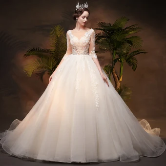 Illusion Ivory See Through Wedding Dresses 2019 Princess Square Neckline 3 4 Sleeve Backless Appliques Pierced Lace Chapel Train Ruffle