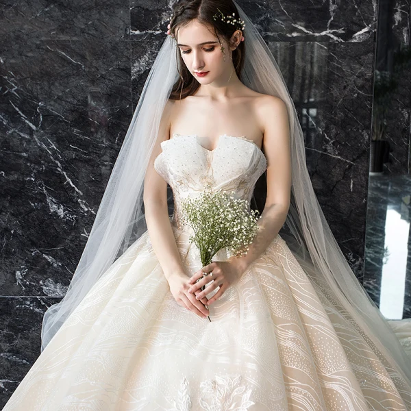 Luksus Champagne Brudekjoler 2019 Prinsesse Kjæreste Uten Ermer Ryggløse Appliques Blonder Paljetter Beading Cathedral Train Buste