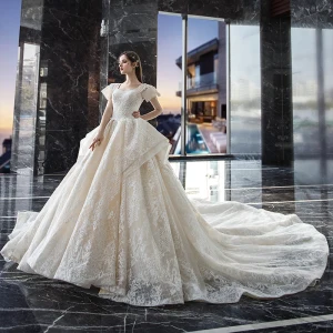 Vintage Retro Champagne Wedding Dresses 2019 Ball Gown Square Neckline Short Sleeve Backless Glitter Appliques Lace Cathedral Train Ruffle