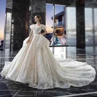 Vintage Originale Champagne Robe De Mariée 2019 Robe Boule Encolure Carrée Manches Courtes Dos Nu Glitter Appliques En Dentelle Cathedral Train Volants