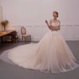 Beste Champagne Brudekjoler 2019 Ballkjole Spaghettistropper Uten Ermer Ryggløse Appliques Blonder Cathedral Train Buste