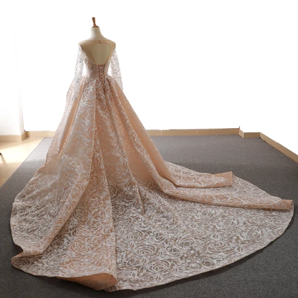 Atemberaubend Champagner Durchsichtige Brautkleider / Hochzeitskleider 2019 Meerjungfrau Rundhalsausschnitt Lange Ärmel Rückenfreies Glanz Applikationen Spitze Kapelle-Schleppe Rüschen