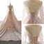 Atemberaubend Champagner Durchsichtige Brautkleider / Hochzeitskleider 2019 Meerjungfrau Rundhalsausschnitt Lange Ärmel Rückenfreies Glanz Applikationen Spitze Kapelle-Schleppe Rüschen
