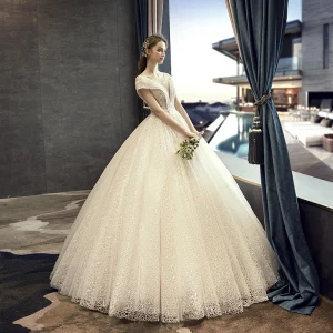 Best Champagne Lace Wedding Dresses 2019 A Line Princess See Through Deep V Neck Short Sleeve Backless Beading Pearl Sequins Glitter Floor Length Long Ruffle