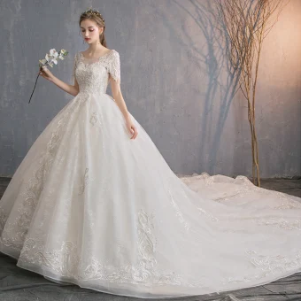 Chic Beautiful Champagne See Through Wedding Dresses 2019 A Line Princess Scoop Neck Short Sleeve Beading Tassel Backless Appliques Lace Chapel Train Ruffle