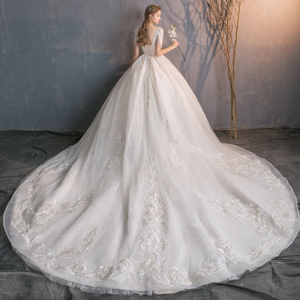 Schöne Champagner Durchsichtige Brautkleider / Hochzeitskleider 2019 A Linie Rundhalsausschnitt Kurze Ärmel Perlenstickerei Quaste Rückenfreies Applikationen Spitze Kapelle-Schleppe Rüschen