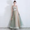 Flower Fairy Sage Green See-through Evening Dresses  2019 A-Line / Princess Scoop Neck Sleeveless Appliques Lace Flower Rhinestone Floor-Length / Long Ruffle Backless