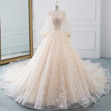 Romantique Champagne Transparentes Robe De Mariée 2019 Princesse Encolure Dégagée Gonflée Manches Longues Dos Nu Appliques En Dentelle Glitter Tulle Cathedral Train Volants