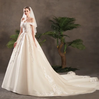 Elegant Champagne Wedding Dresses 2019 A Line Princess Off The Shoulder Short Sleeve Backless Appliques Lace Sash Beading Pearl Chapel Train Ruffle