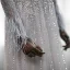 Luxe Gris Transparentes Robe De Soirée 2019 Princesse Encolure Dégagée Manches Longues Plumes Fait main Perlage Ceinture Train De Balayage Volants Robe De Ceremonie