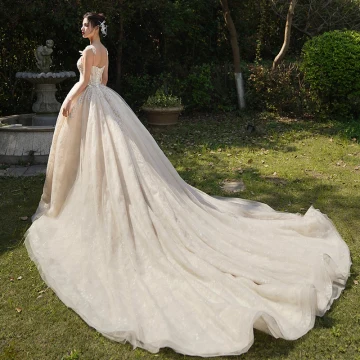 Luxury Gorgeous Champagne Wedding Dresses 2019 A Line Princess Spaghetti Straps Sleeveless Backless Appliques Lace Beading Cathedral Train Ruffle