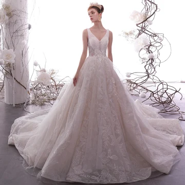 Elegante Champagne Trouwjurken 2019 A Lijn V Hals Mouwloos Ruglooze Glans Blad Appliques Kant Kralen Chapel Train Ruche