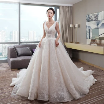 Best Champagne Wedding Dresses 2019 A Line Princess Deep V Neck Sleeveless Backless Beading Leaf Appliques Lace Glitter Tulle Chapel Train Ruffle