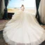 Beste Champagne Brudekjoler 2019 Ballkjole Kjæreste Uten Ermer Ryggløse Appliques Blonder Beading Chapel Train Buste