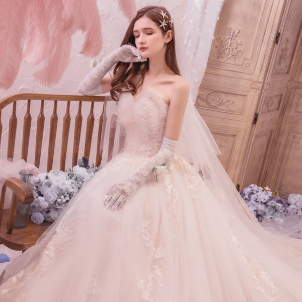 Romantisk Champagne Brudekjoler 2019 Prinsesse Fantastiske / Unike Kjæreste Uten Ermer Ryggløse Appliques Blonder Beading Glitter Tyll Cathedral Train Buste