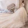 Bling Bling Champagne Robe De Mariée 2019 Princesse Unique Amoureux Sans Manches Dos Nu Glitter Tulle Royal Train Volants