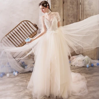 Romantic Champagne Outdoor Garden Wedding Dresses 2019 A Line Princess Spaghetti Straps Sleeveless Backless Appliques Lace Beading Court Train Ruffle
