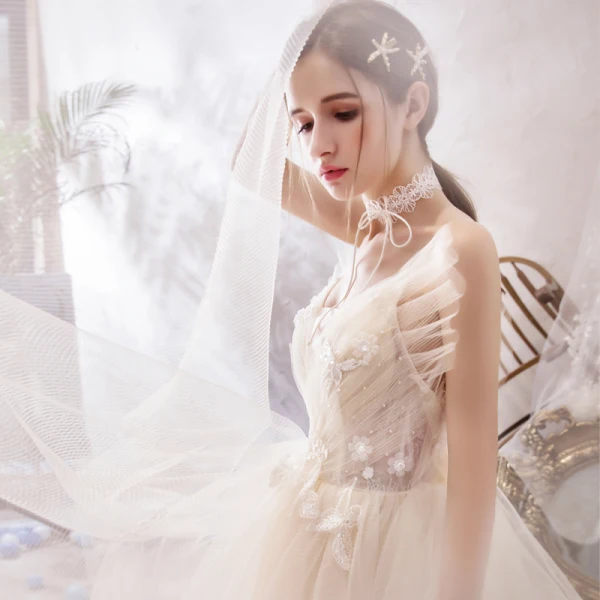 Romantic Champagne Outdoor / Garden Wedding Dresses 2019 A-Line / Princess Spaghetti Straps Sleeveless Backless Appliques Lace Beading Court Train Ruffle