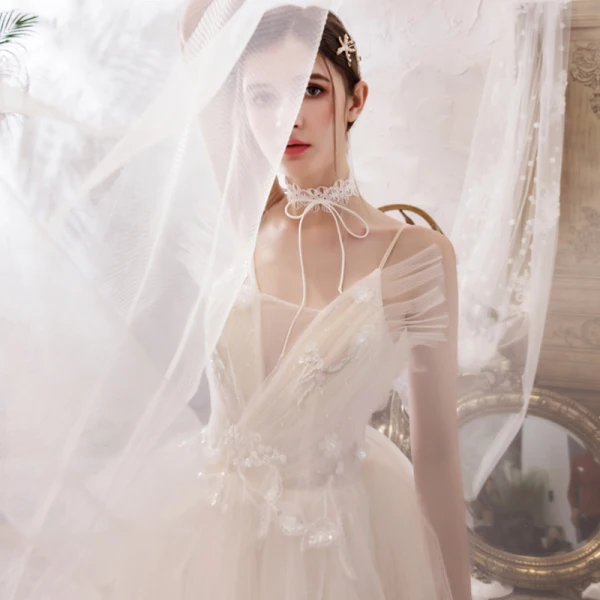 Romantic Champagne Outdoor / Garden Wedding Dresses 2019 A-Line / Princess Spaghetti Straps Sleeveless Backless Appliques Lace Beading Court Train Ruffle