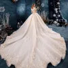 Elegant Champagne Wedding Dresses 2019 A-Line / Princess Off-The-Shoulder V-Neck Short Sleeve Backless Appliques Lace Beading Cathedral Train Ruffle