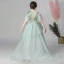 Flower Fairy Green See-through Flower Girl Dresses 2019 Empire High Neck Sleeveless Appliques Flower Sweep Train Ruffle Wedding Party Dresses