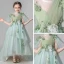 Flower Fairy Green See-through Flower Girl Dresses 2019 Empire High Neck Sleeveless Appliques Flower Sweep Train Ruffle Wedding Party Dresses