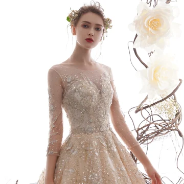 Haut De Gamme Champagne Transparentes Robe De Mariée 2019 Princesse Encolure Dégagée 3 4 Manches Dos Nu Perlage Paillettes Faux Diamant Cathedral Train Volants
