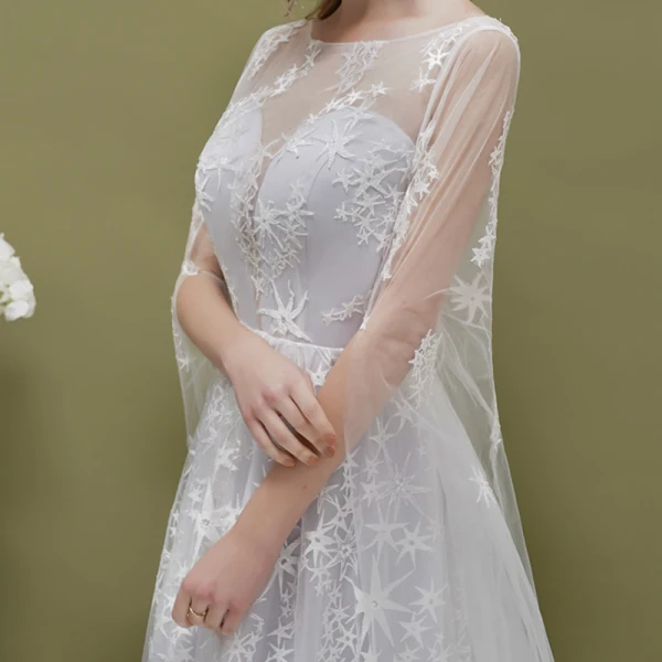 Romantic Silver See-through Evening Dresses  2019 A-Line / Princess Square Neckline 1/2 Sleeves Backless Star Appliques Lace Watteau Train Ruffle Formal Dresses