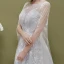 Romantic Silver See-through Evening Dresses  2019 A-Line / Princess Square Neckline 1/2 Sleeves Backless Star Appliques Lace Watteau Train Ruffle Formal Dresses