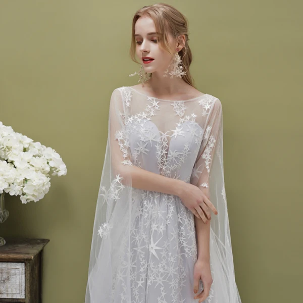 Romantic Silver See-through Evening Dresses  2019 A-Line / Princess Square Neckline 1/2 Sleeves Backless Star Appliques Lace Watteau Train Ruffle Formal Dresses