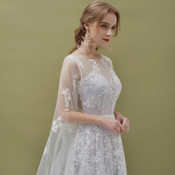 Romantic Silver See-through Evening Dresses  2019 A-Line / Princess Square Neckline 1/2 Sleeves Backless Star Appliques Lace Watteau Train Ruffle Formal Dresses