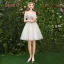 Modern / Fashion Champagne Bridesmaid Dresses 2019 A-Line / Princess Appliques Lace Sash Short Ruffle Backless Wedding Party Dresses
