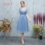 Abordable Océan Bleu Transparentes Robe Demoiselle D'honneur 2019 Princesse Appliques En Dentelle Thé Longueur Volants Dos Nu Robe Pour Mariage