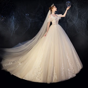 Illusion Champagne Wedding Dresses 2019 Ball Gown Spaghetti Straps Detachable Short Sleeve Backless Appliques Lace Beading Cathedral Train Ruffle