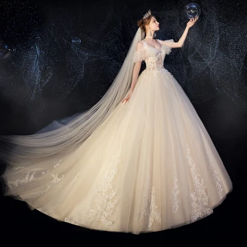 Illusion Champagne Wedding Dresses 2019 Ball Gown Spaghetti Straps Detachable Short Sleeve Backless Appliques Lace Beading Cathedral Train Ruffle