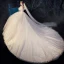 Illusion Champagne Robe De Mariée 2019 Robe Boule Bretelles Spaghetti Détachable Manches Courtes Dos Nu Appliques En Dentelle Perlage Cathedral Train Volants