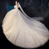 Illusion Champagne Wedding Dresses 2019 Ball Gown Spaghetti Straps Detachable Short Sleeve Backless Appliques Lace Beading Cathedral Train Ruffle