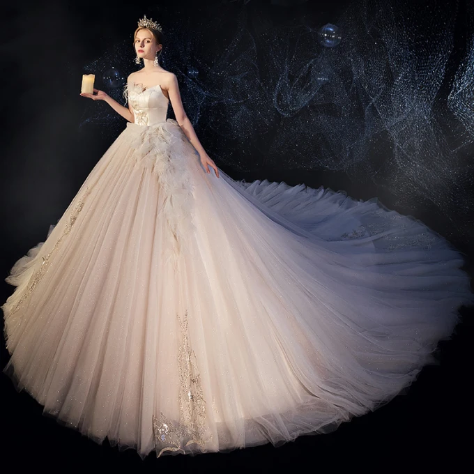 Beste Champagne Brudekjoler 2019 Ballkjole Kjæreste Uten Ermer Ryggløse Fjær Appliques Paljetter Glitter Tyll Cathedral Train Buste