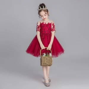 Chic Belle Bordeaux Transparentes Robe Ceremonie Fille 2019 Robe Boule Encolure Dégagée Manches Courtes Appliques En Dentelle Faux Diamant Courte Volants Robe Pour Mariage