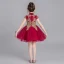 Chinese style Burgundy Flower Girl Dresses 2019 Ball Gown High Neck Cap Sleeves Appliques Lace Rhinestone Short Ruffle Wedding Party Dresses