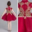 Chinese style Burgundy Flower Girl Dresses 2019 Ball Gown High Neck Cap Sleeves Appliques Lace Rhinestone Short Ruffle Wedding Party Dresses