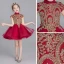 Chinese style Burgundy Flower Girl Dresses 2019 Ball Gown High Neck Cap Sleeves Appliques Lace Rhinestone Short Ruffle Wedding Party Dresses