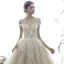 Meilleur Champagne Robe De Mariée 2019 Robe Boule De l'épaule Manches Courtes Dos Nu Glitter Tulle Cathedral Train Volants