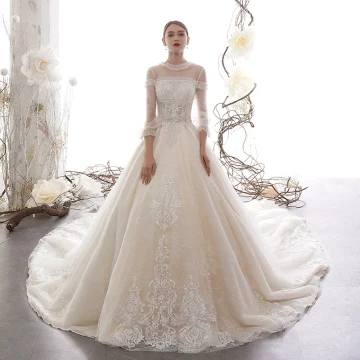 Vintage Originale Champagne Transparentes Robe De Mariée 2019 Princesse Col Haut Gonflée 3 4 Manches Dos Nu Appliques En Dentelle Perlage Cathedral Train Volants