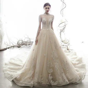 Vintage Retro Champagne See Through Wedding Dresses 2019 A Line Princess High Neck Short Sleeve Beading Tassel Appliques Lace Cathedral Train Ruffle