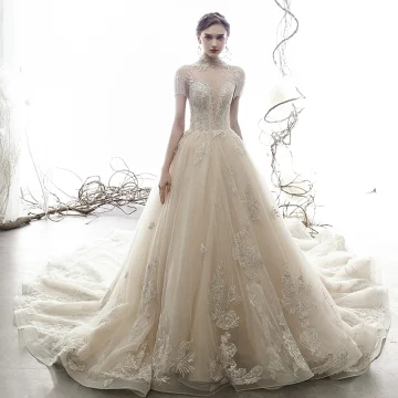 Vintage Retro Champagne See Through Wedding Dresses 2019 A Line Princess High Neck Short Sleeve Beading Tassel Appliques Lace Cathedral Train Ruffle