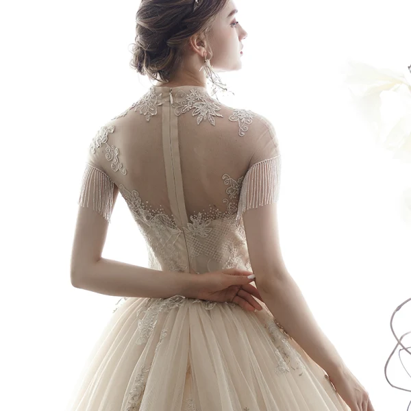 Vintage / Retro Champagne See-through Wedding Dresses 2019 A-Line / Princess High Neck Short Sleeve Beading Tassel Appliques Lace Cathedral Train Ruffle