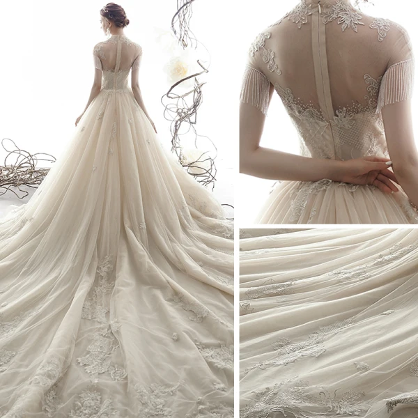 Vintage / Retro Champagne See-through Wedding Dresses 2019 A-Line / Princess High Neck Short Sleeve Beading Tassel Appliques Lace Cathedral Train Ruffle